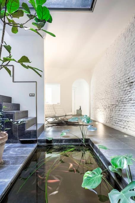 Elegante Duplex Centro Sevilla Matahacas 1 Exteriér fotografie
